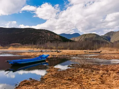 Bobby Casino App Mobile